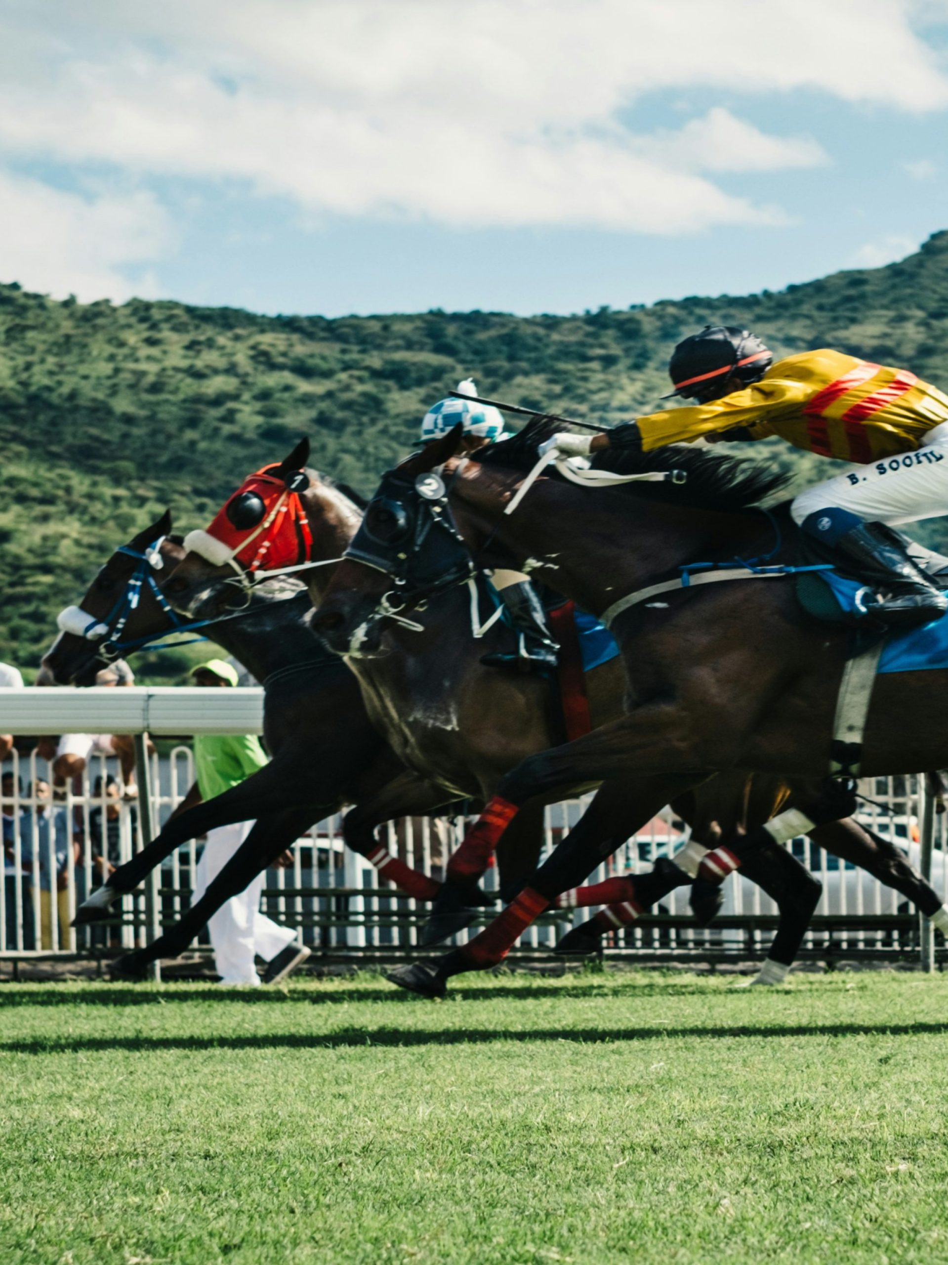 Horses racing