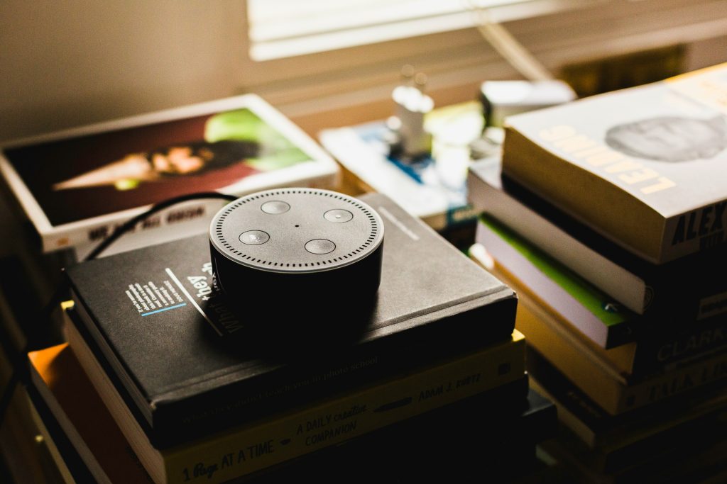 Voice commerce for adventure brands: the next frontier in booking experiences